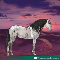 Horse Color:Platinum Liver Red Dun Tobiano Brindle