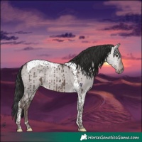 Horse Color:Platinum Liver Red Dun Tobiano Brindle 