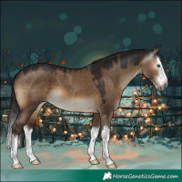 Horse Color:Gray Brown Dun Splash 