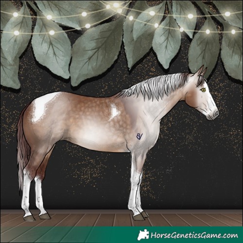 Horse Color:Gray Chocolate Bay Dun Splash Tobiano 