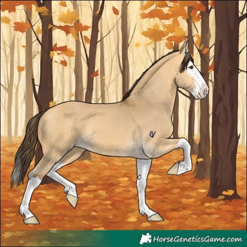 Horse Color:Buckskin Dun Splash 