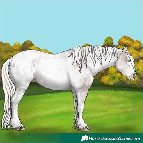 Horse Color:White Spotted Silver Black Ice Sabino Splash Blanket