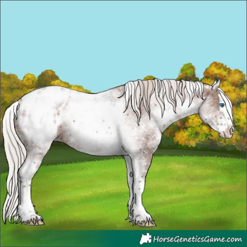 Horse Color:White Spotted Silver Black Ice Sabino Splash Appaloosa 
