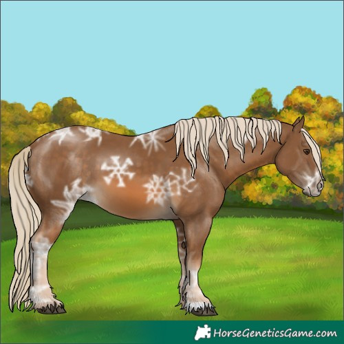 Horse Color:Chocolate Palomino Ice 