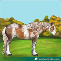 Horse Color:White Spotted Chocolate Palomino Ice 