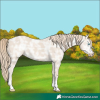 Horse Color:Smoky Creme Ice