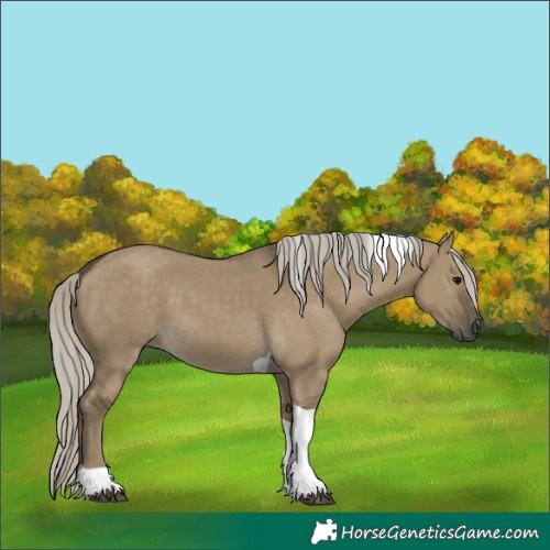 Horse Color:Silver Smoky Grullo Tobiano 