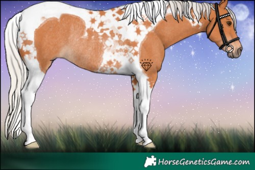 Horse Color:Silver Bay Tobiano Rabicano 