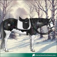 Horse Color:Midnight Black Ice Splash 