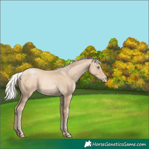 Horse Color:Silver Buckskin Pearl 