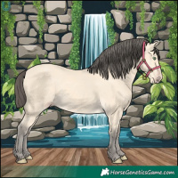 Horse Color:Amber Cream Champagne