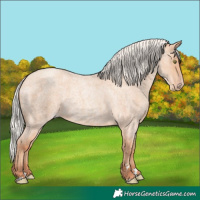Horse Color:Silver Amber Champagne Roan 
