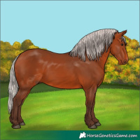 Horse Color:Silver Bay