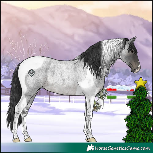 Horse Color:Blue Roan Tobiano 