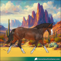 Horse Color:Bay 