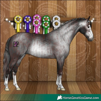 Horse Color:Gray Chocolate Black  and Gray Black 