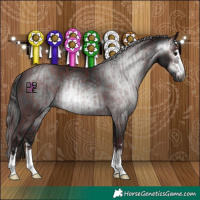 Horse Color:Gray Chocolate Black  and Gray Black 