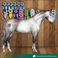 Horse Color:Gray Chocolate Black and Gray Black