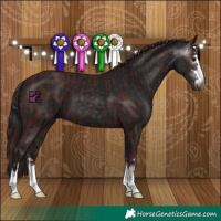 Horse Color:Gray Chocolate Black and Gray Black
