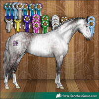 Horse Color:Gray Chocolate Black and Gray Black