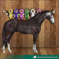 Horse Color:Gray Chocolate Black  and Gray Black 
