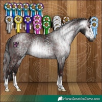 Horse Color:Gray Chocolate Black and Gray Black