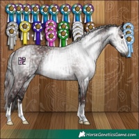 Horse Color:Gray Chocolate Black  and Gray Black 