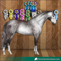 Horse Color:Gray Chocolate Black  and Gray Black 