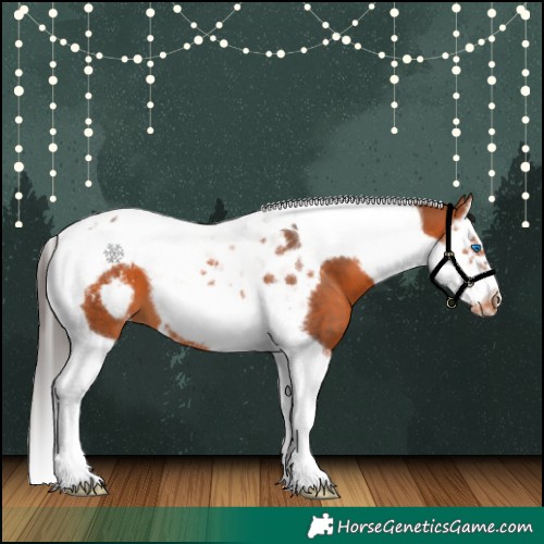 Horse Color:Bay Splash Tobiano Frame Appaloosa 