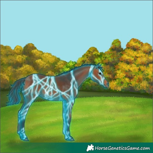 Horse Color:Thunderstruck Bay
