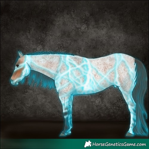 Horse Color:Thunderstruck Bay Roan 