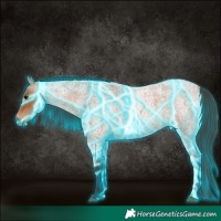 Horse Color:Thunderstruck Bay Roan