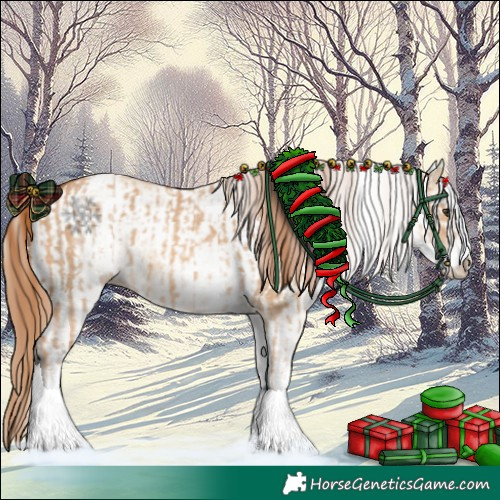Horse Color:White Spotted Red Dun Rabicano and White Spotted Red Dun Rabicano