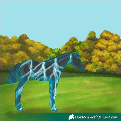 Horse Color:Thunderstruck Smoky Black 