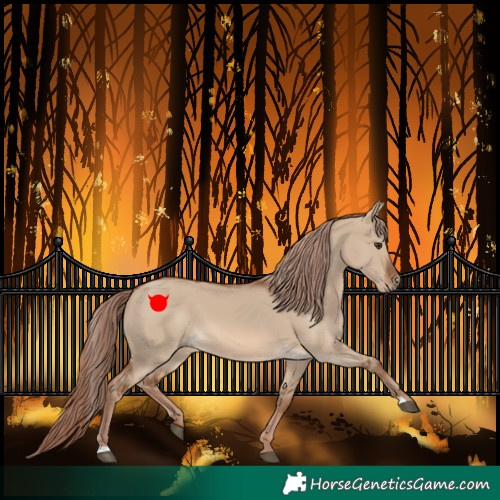 Horse Color:Red Dun 