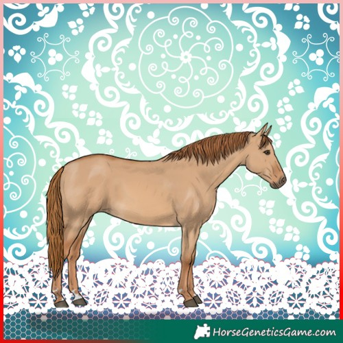 Horse Color:Red Dun 