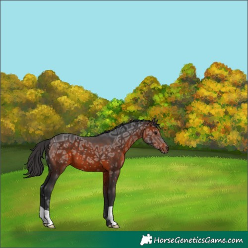 Horse Color:Brown Ice