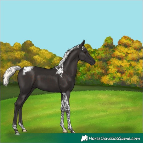 Horse Color:Liver Chestnut Mushroom Tobiano 