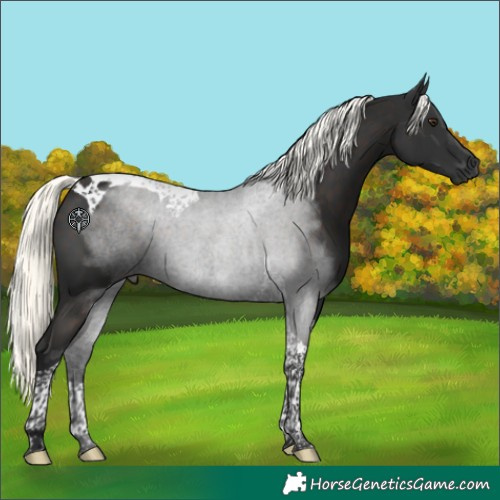 Horse Color:Liver Chestnut Mushroom Tobiano 