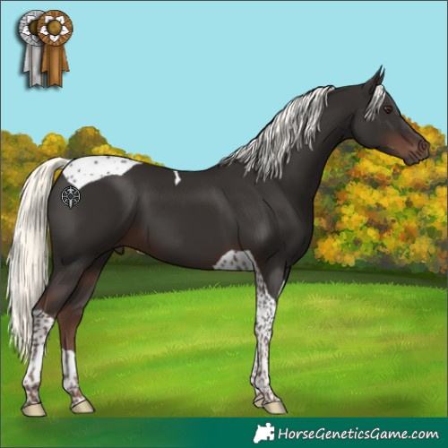 Horse Color:Liver Chestnut Mushroom Tobiano 