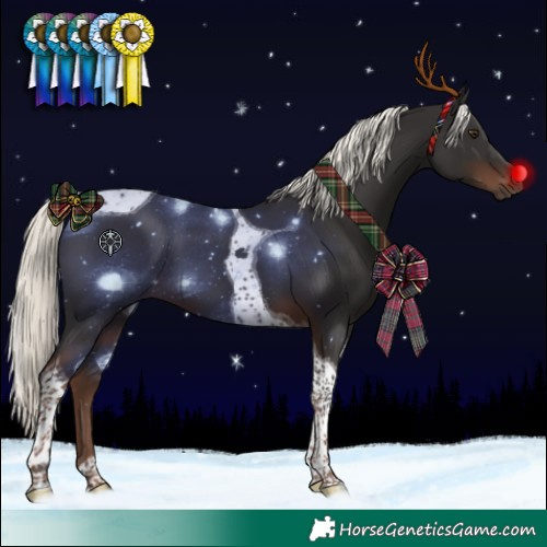 Horse Color:Liver Chestnut Mushroom Tobiano 