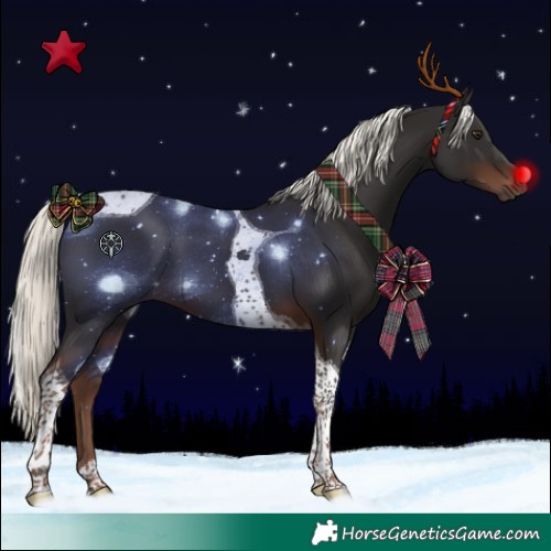 Horse Color:Liver Chestnut Mushroom Tobiano 