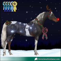 Horse Color:Liver Chestnut Mushroom Tobiano