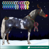 Horse Color:Liver Chestnut Mushroom Tobiano