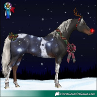 Horse Color:Liver Chestnut Mushroom Tobiano