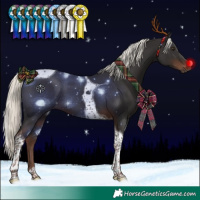 Horse Color:Liver Chestnut Mushroom Tobiano