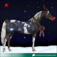 Horse Color:Liver Chestnut Mushroom Tobiano 