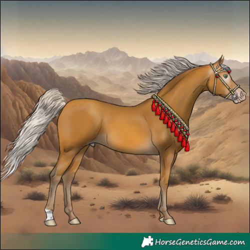 Horse Color:Gray Silver Sable Cream Champagne 