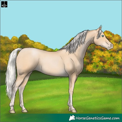Horse Color:Silver Buckskin Pearl 
