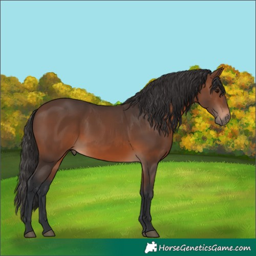 Horse Color:Brown 